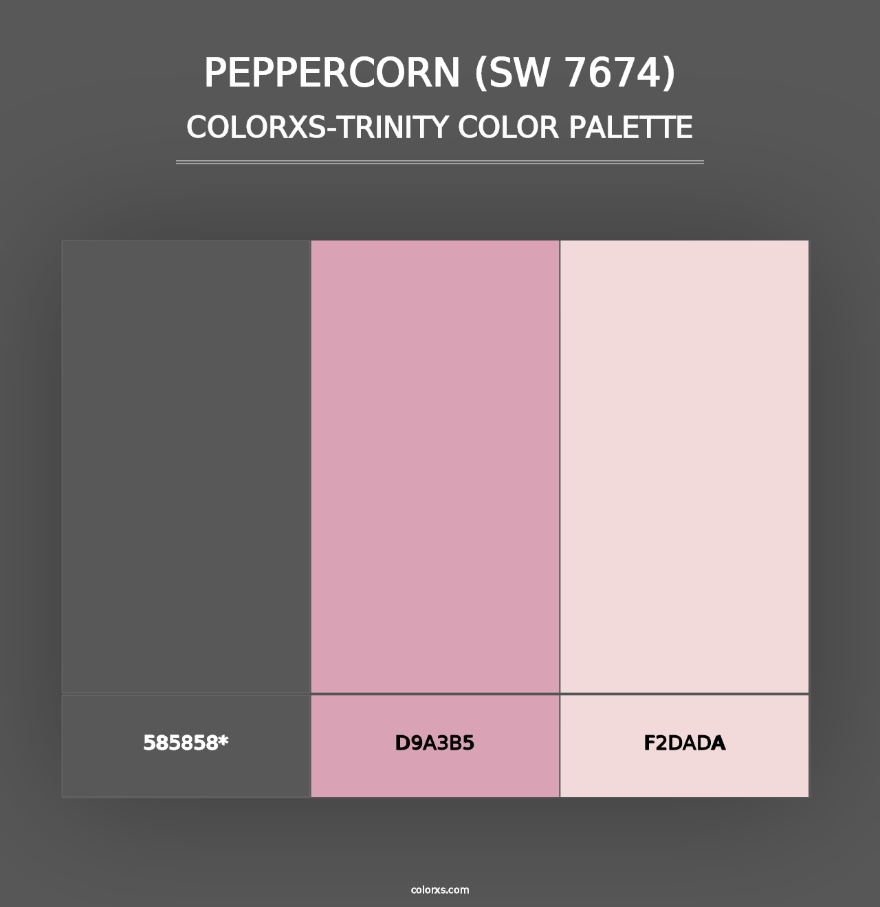 Peppercorn (SW 7674) - Colorxs Trinity Palette