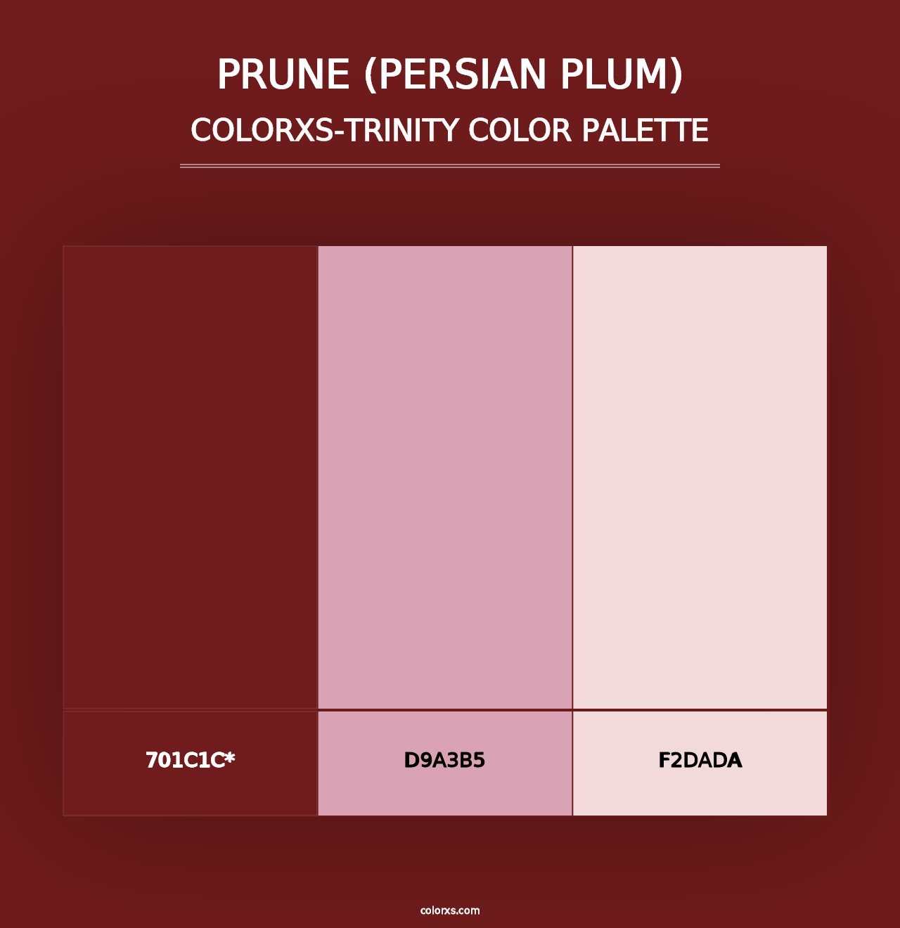 Prune (Persian Plum) - Colorxs Trinity Palette