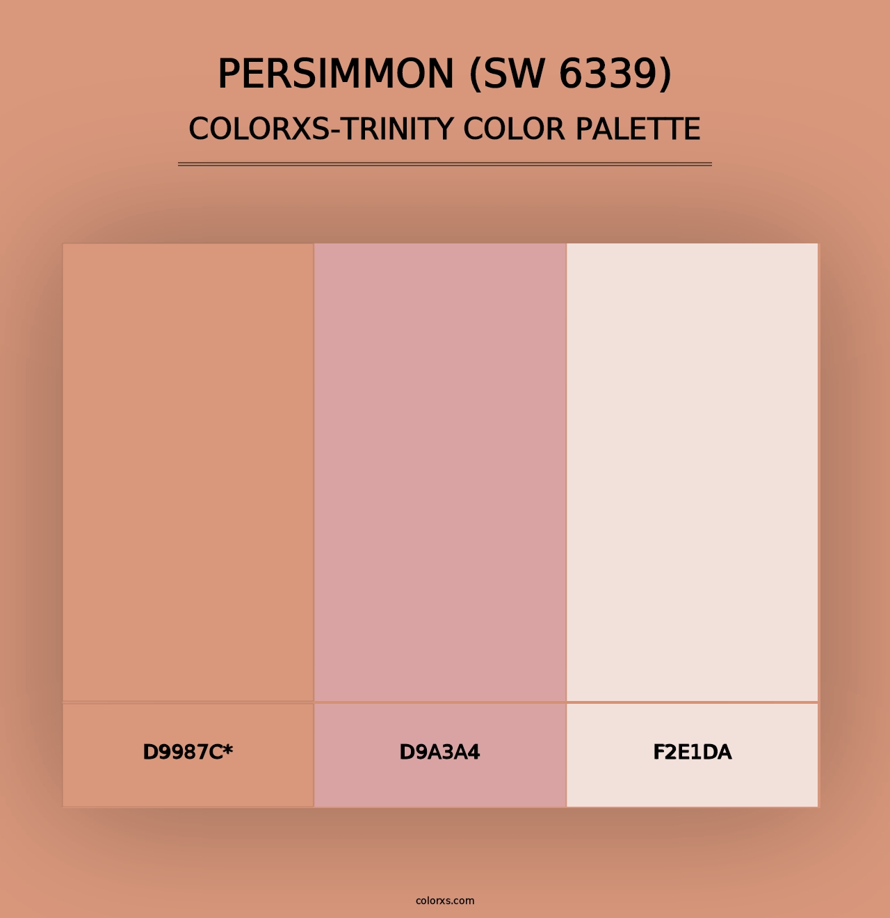 Persimmon (SW 6339) - Colorxs Trinity Palette