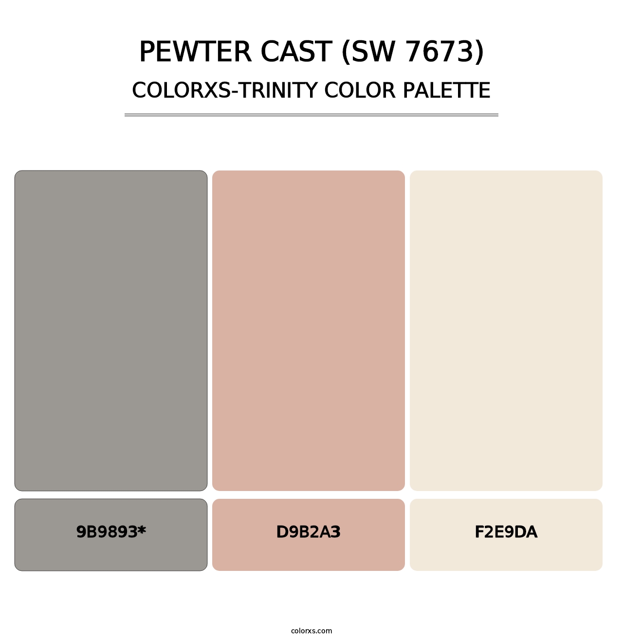 Pewter Cast (SW 7673) - Colorxs Trinity Palette