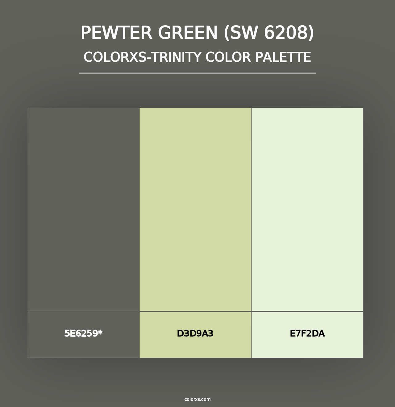 Pewter Green (SW 6208) - Colorxs Trinity Palette