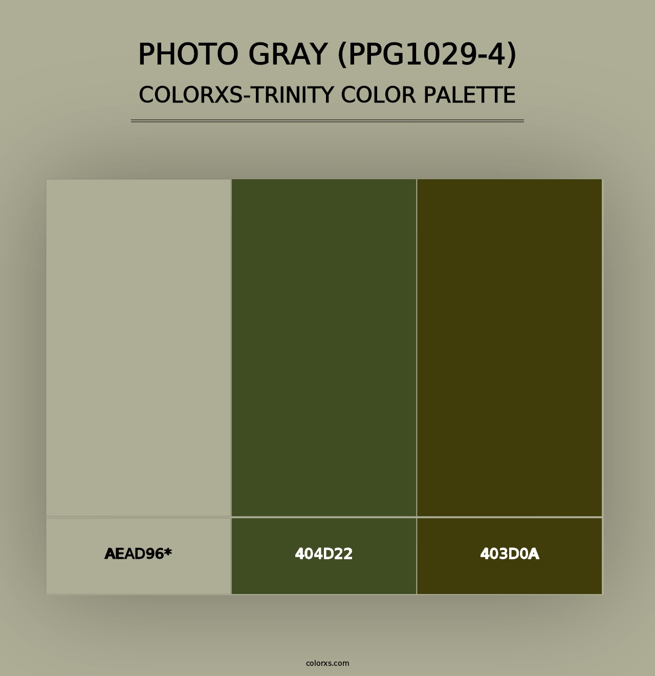 Photo Gray (PPG1029-4) - Colorxs Trinity Palette