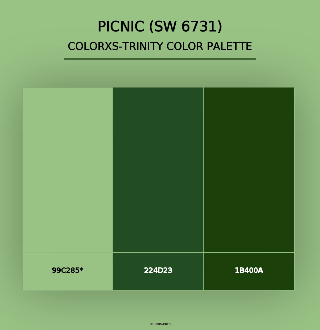 Picnic (SW 6731) - Colorxs Trinity Palette