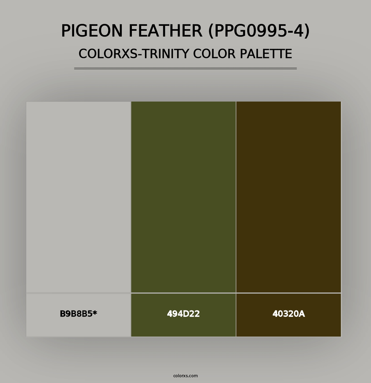 Pigeon Feather (PPG0995-4) - Colorxs Trinity Palette