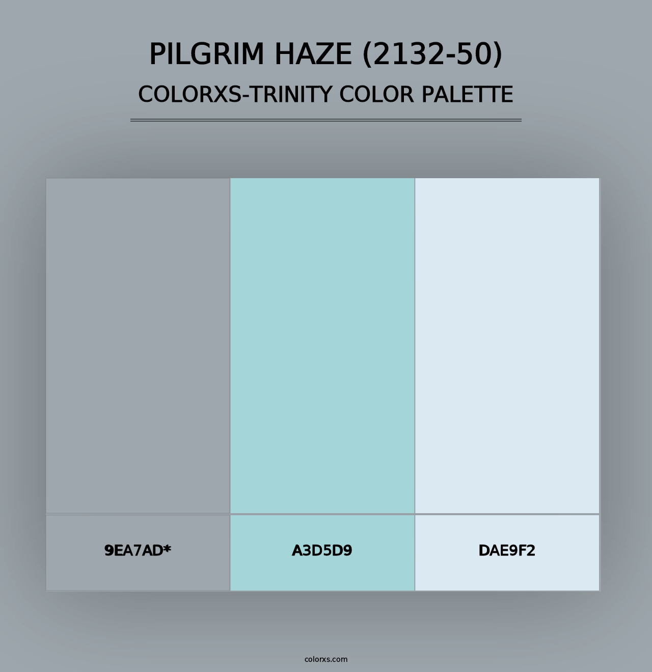 Pilgrim Haze (2132-50) - Colorxs Trinity Palette