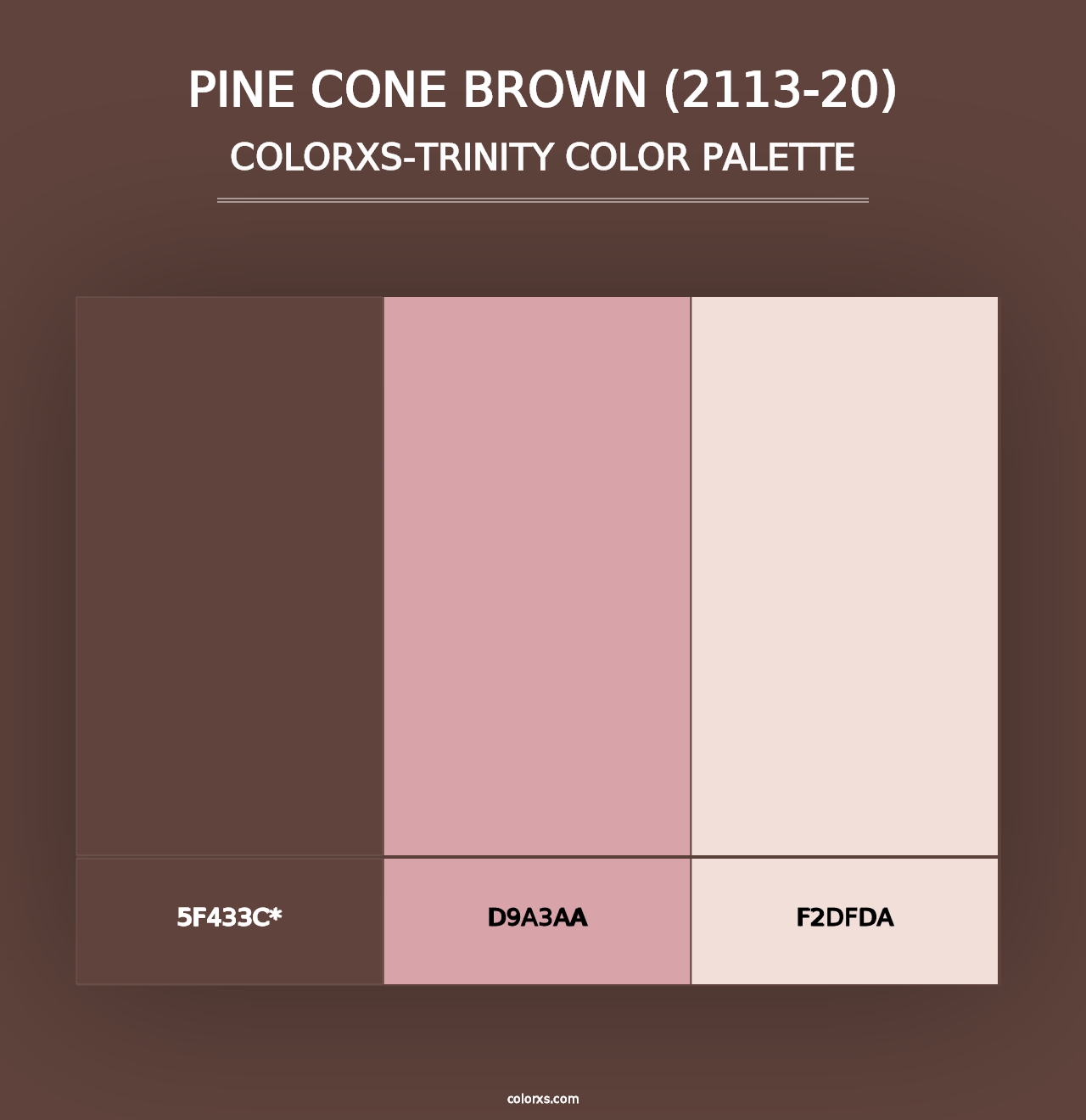 Pine Cone Brown (2113-20) - Colorxs Trinity Palette