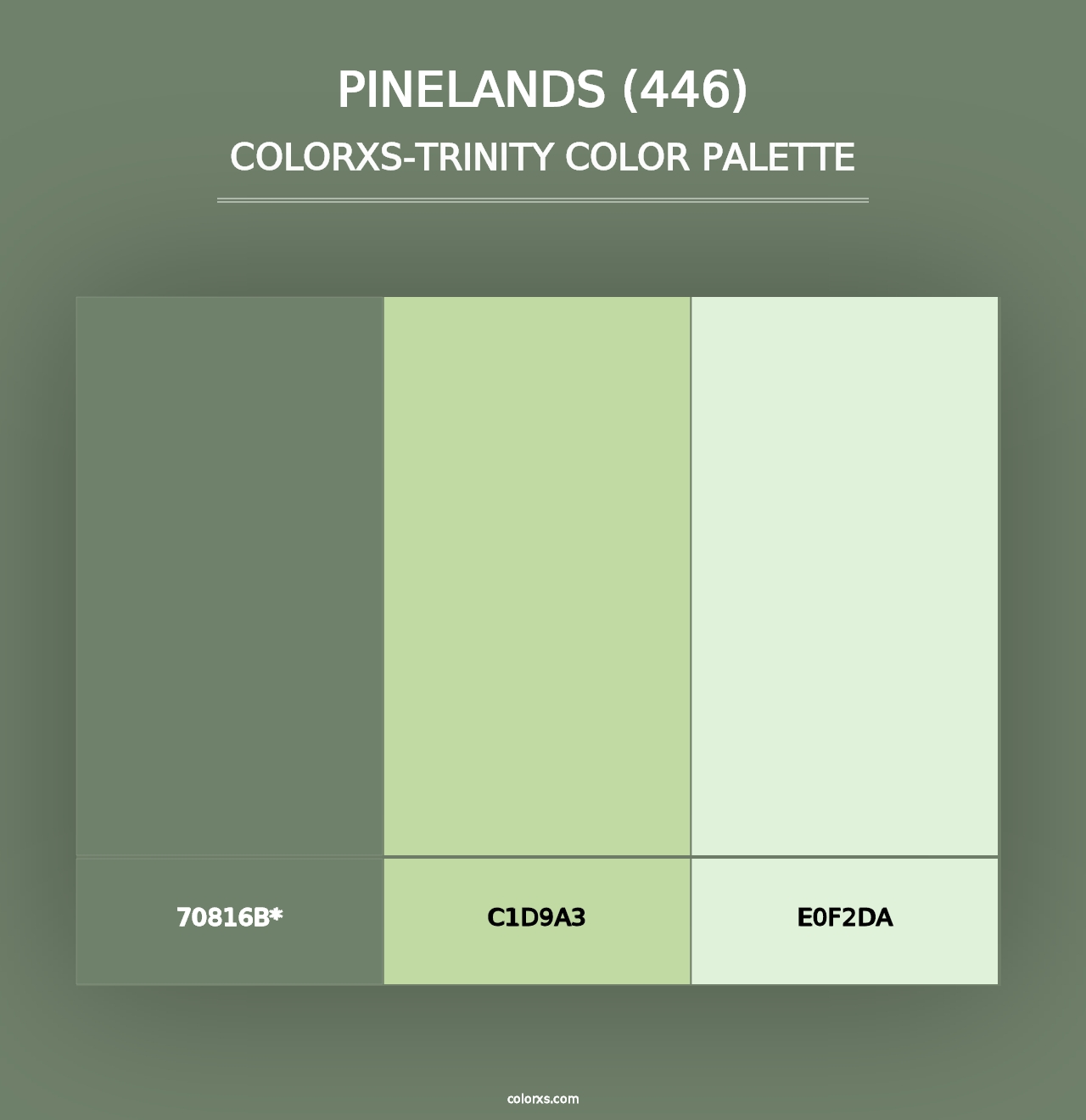 Pinelands (446) - Colorxs Trinity Palette