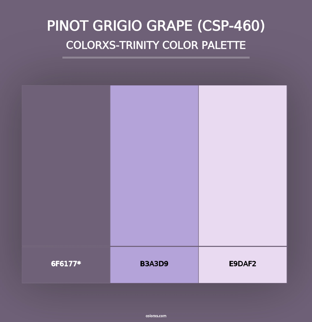 Pinot Grigio Grape (CSP-460) - Colorxs Trinity Palette