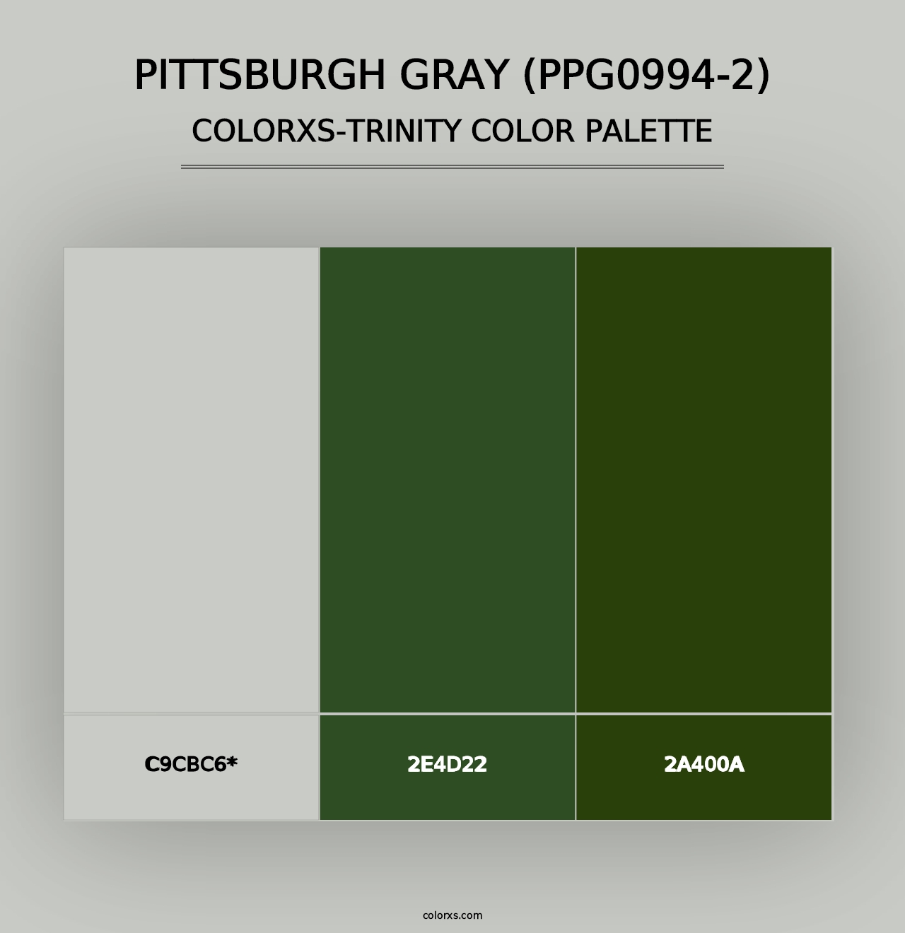 Pittsburgh Gray (PPG0994-2) - Colorxs Trinity Palette