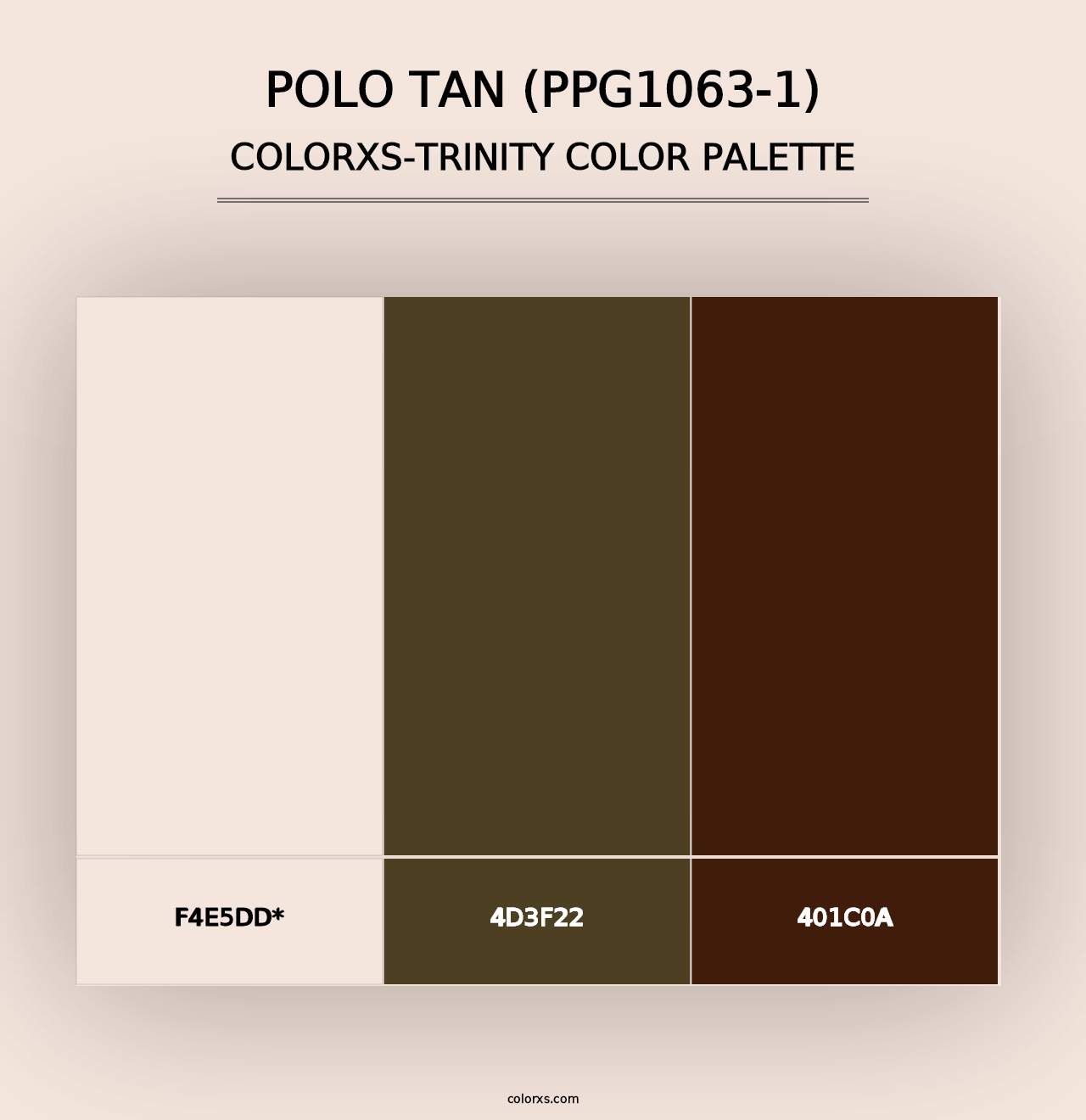 Polo Tan (PPG1063-1) - Colorxs Trinity Palette