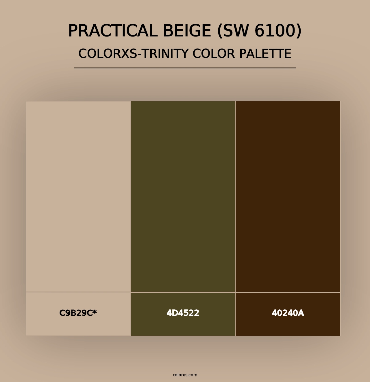 Practical Beige (SW 6100) - Colorxs Trinity Palette