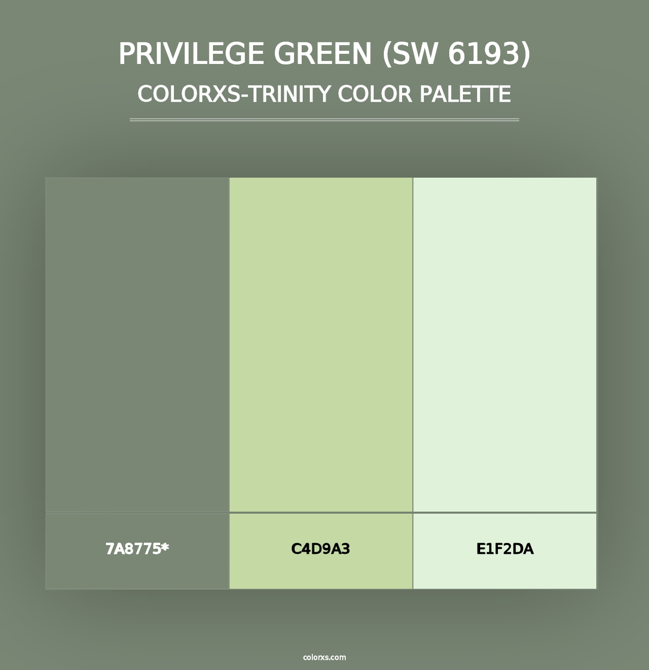 Privilege Green (SW 6193) - Colorxs Trinity Palette