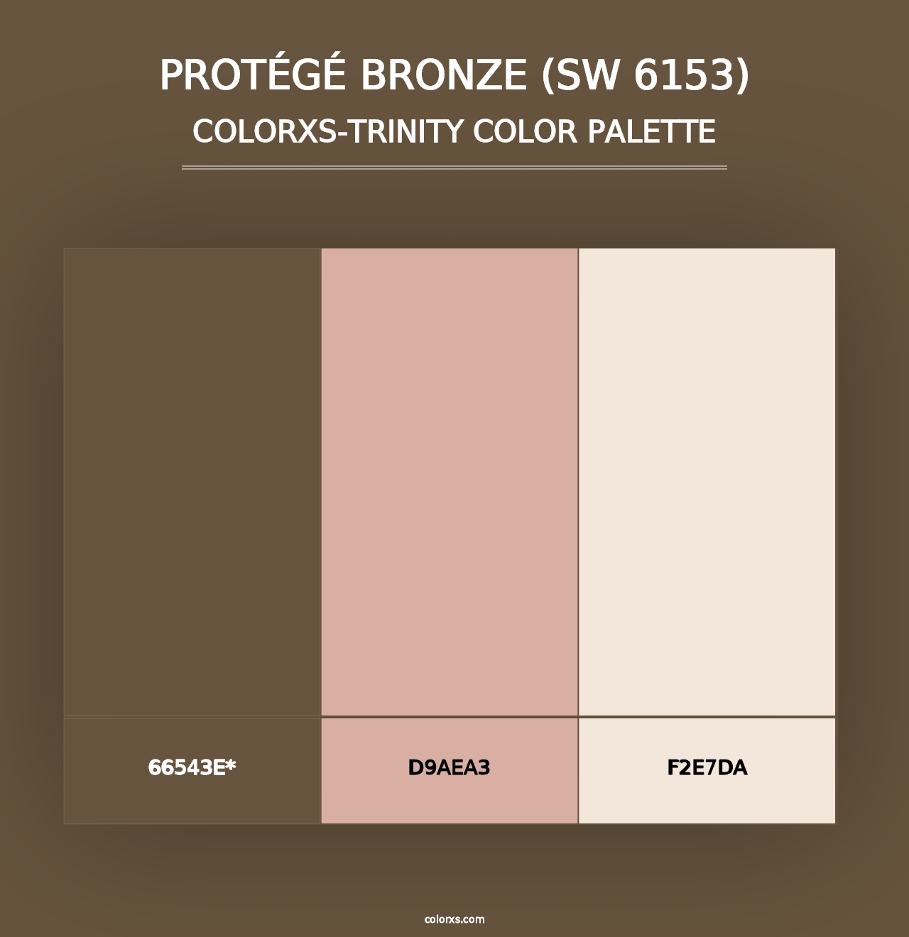 Protégé Bronze (SW 6153) - Colorxs Trinity Palette