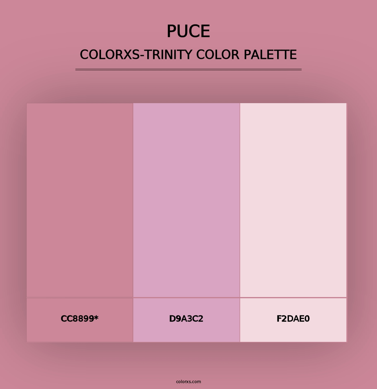 Puce - Colorxs Trinity Palette