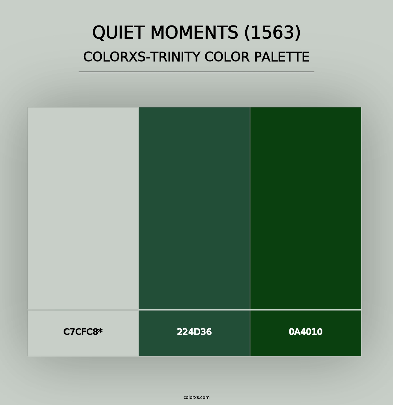 Quiet Moments (1563) - Colorxs Trinity Palette