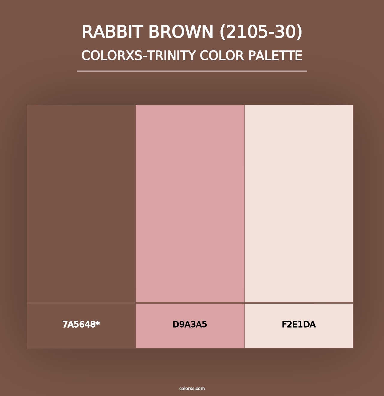 Rabbit Brown (2105-30) - Colorxs Trinity Palette