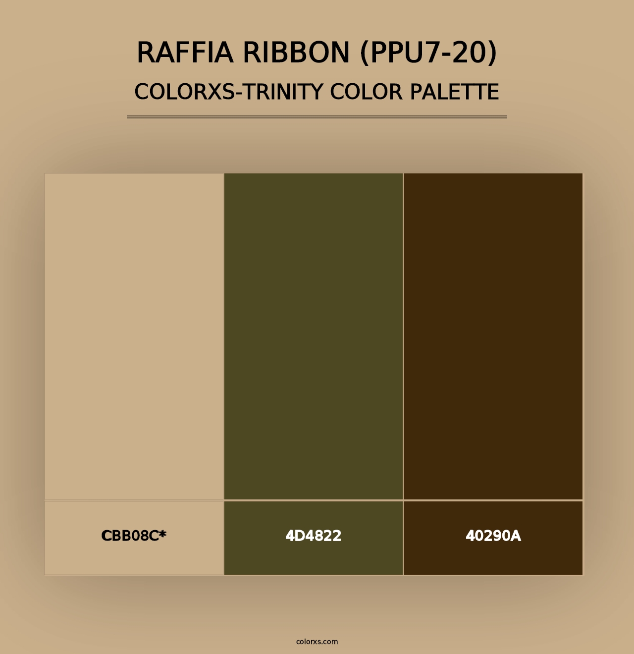 Raffia Ribbon (PPU7-20) - Colorxs Trinity Palette