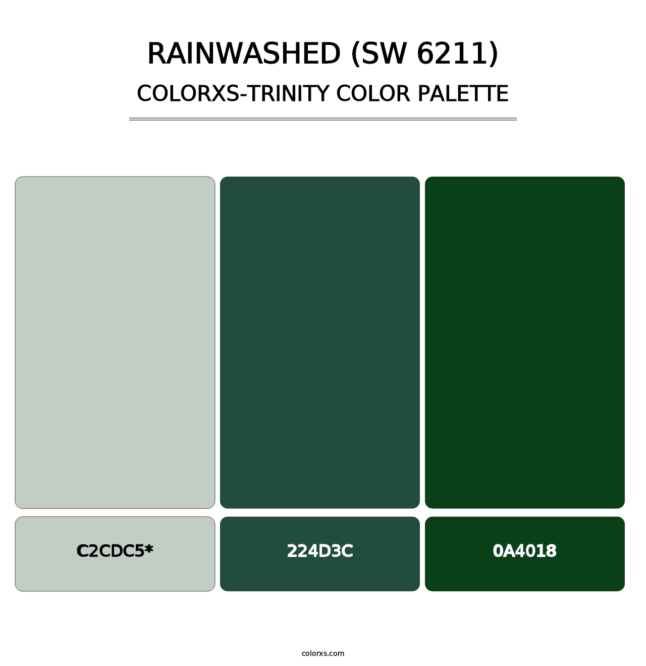 Rainwashed (SW 6211) - Colorxs Trinity Palette