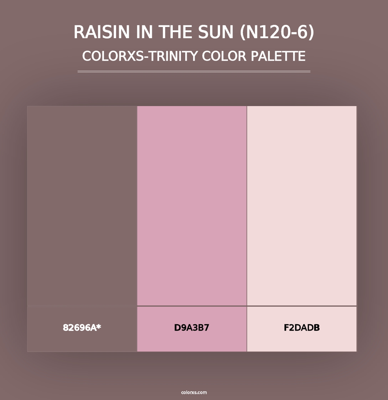 Raisin In The Sun (N120-6) - Colorxs Trinity Palette