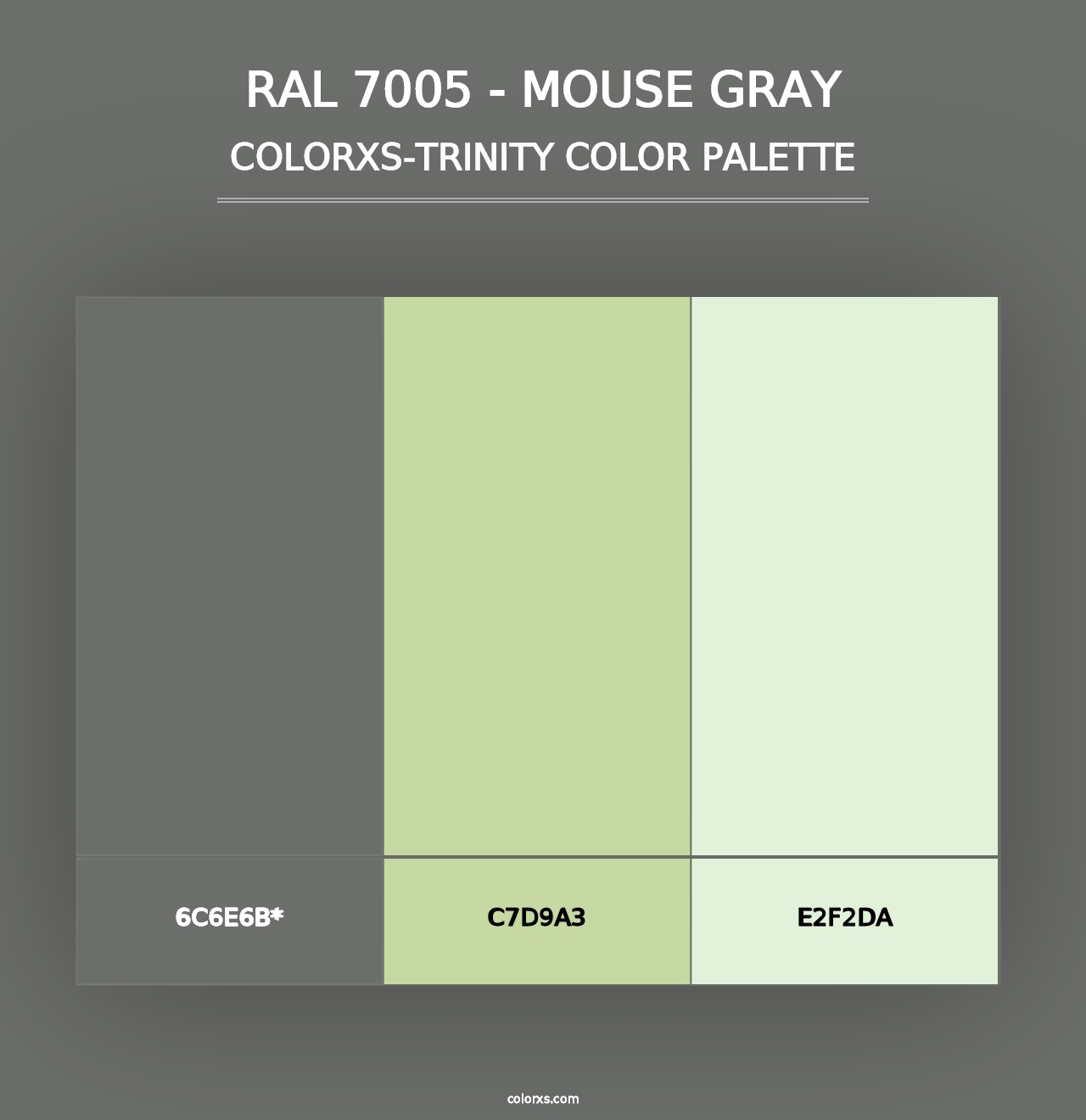 RAL 7005 - Mouse Gray - Colorxs Trinity Palette