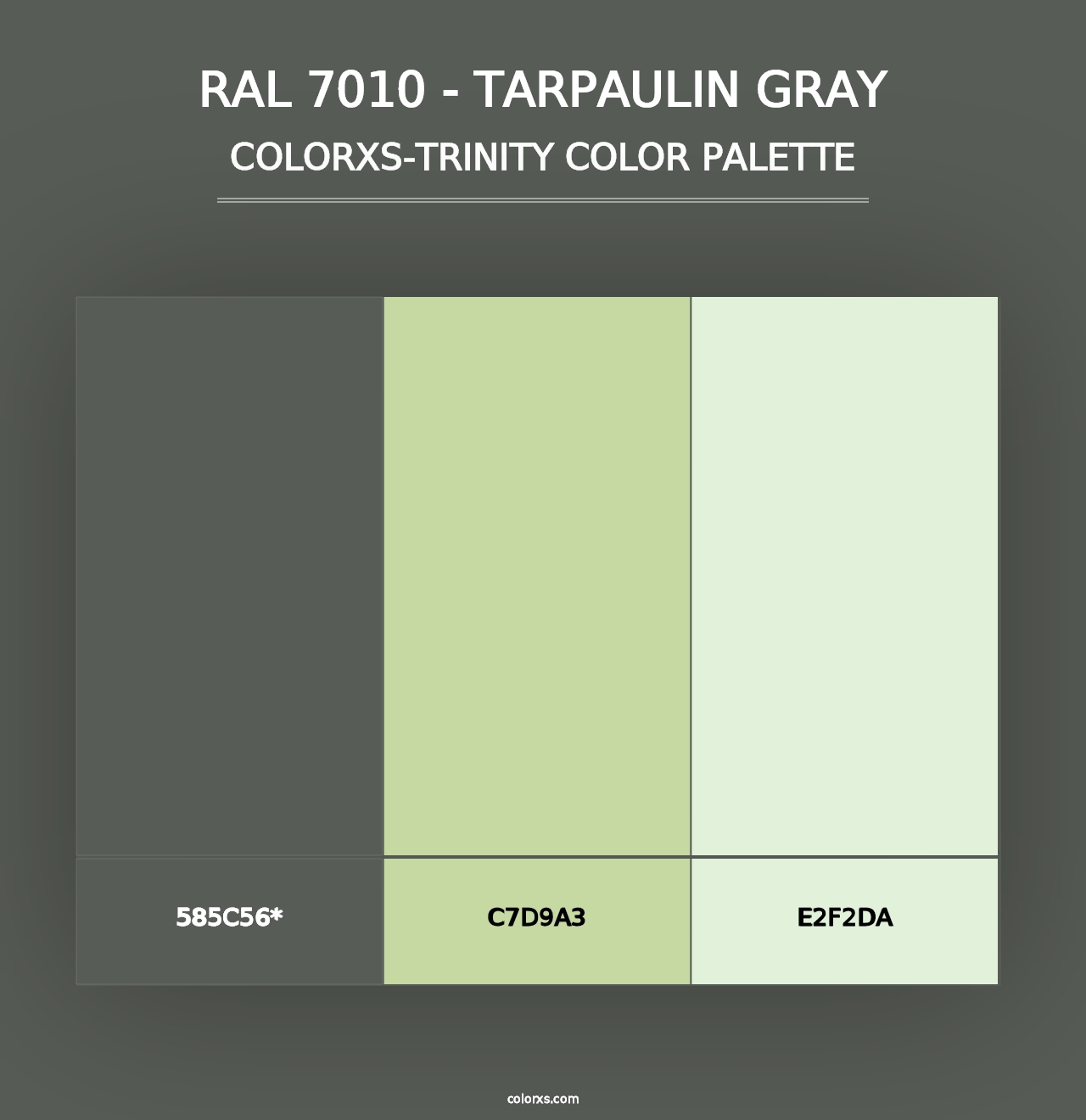 RAL 7010 - Tarpaulin Gray - Colorxs Trinity Palette