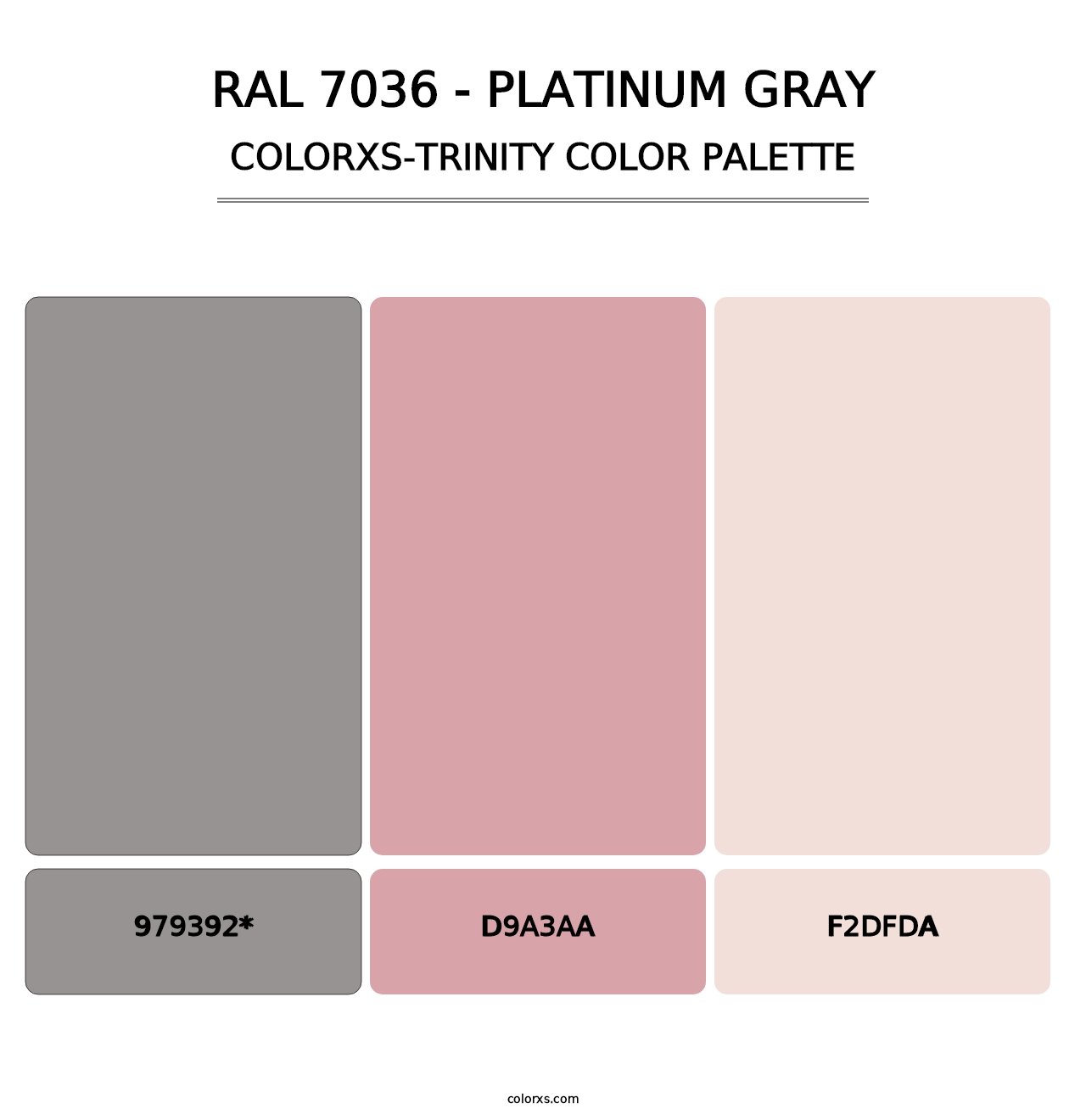 RAL 7036 - Platinum Gray - Colorxs Trinity Palette