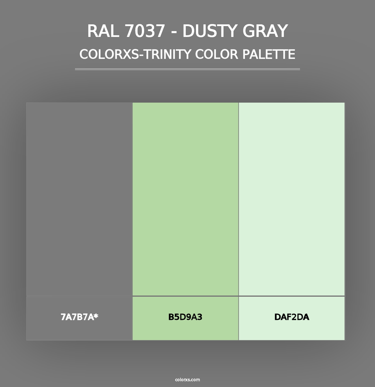 RAL 7037 - Dusty Gray - Colorxs Trinity Palette