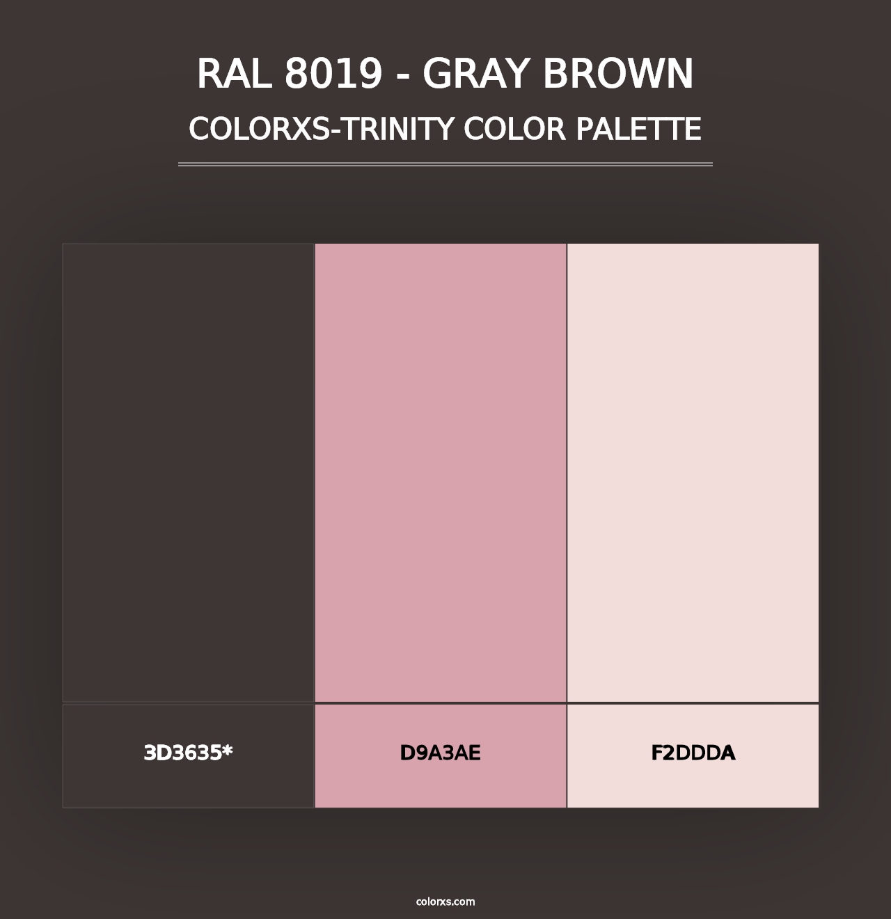 RAL 8019 - Gray Brown - Colorxs Trinity Palette