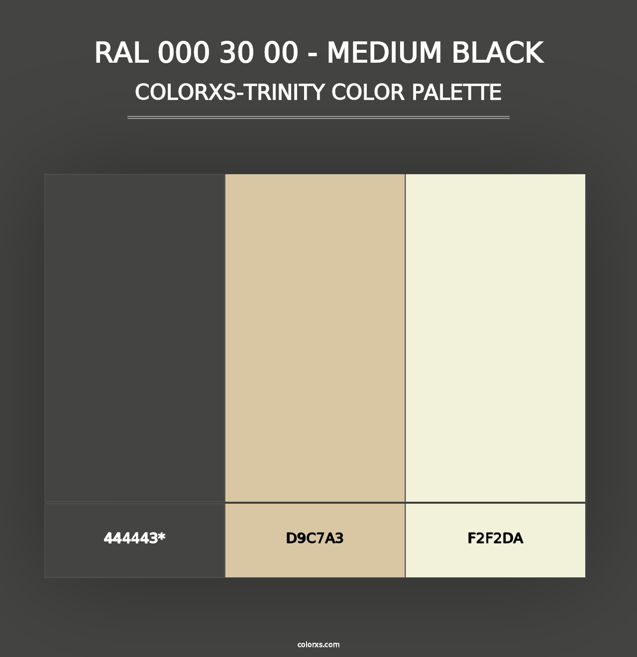 RAL 000 30 00 - Medium Black - Colorxs Trinity Palette