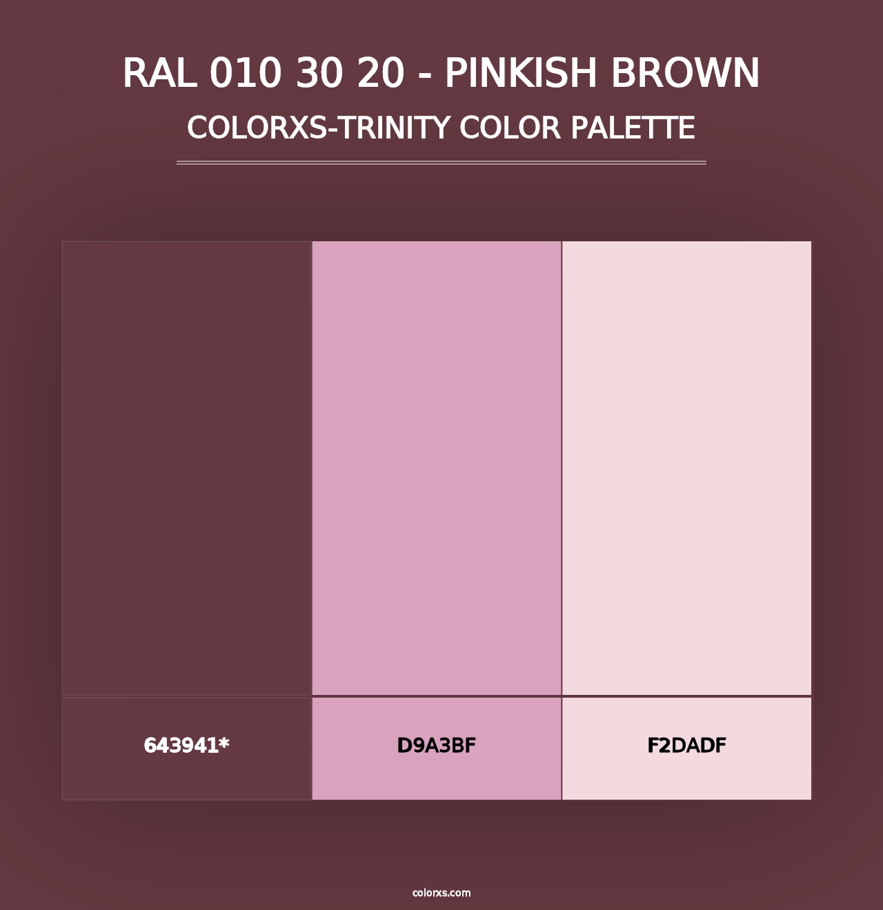 RAL 010 30 20 - Pinkish Brown - Colorxs Trinity Palette