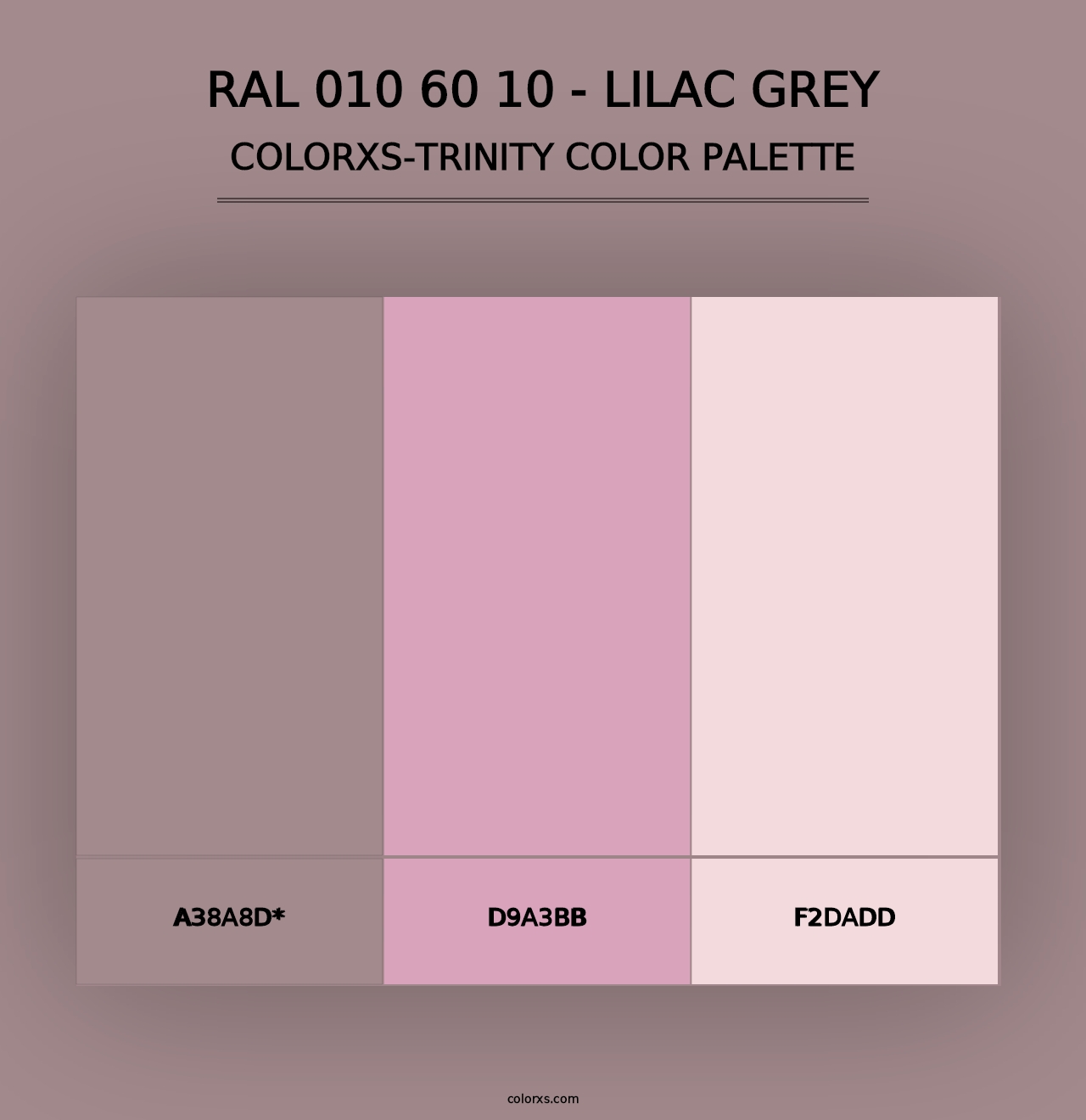 RAL 010 60 10 - Lilac Grey - Colorxs Trinity Palette