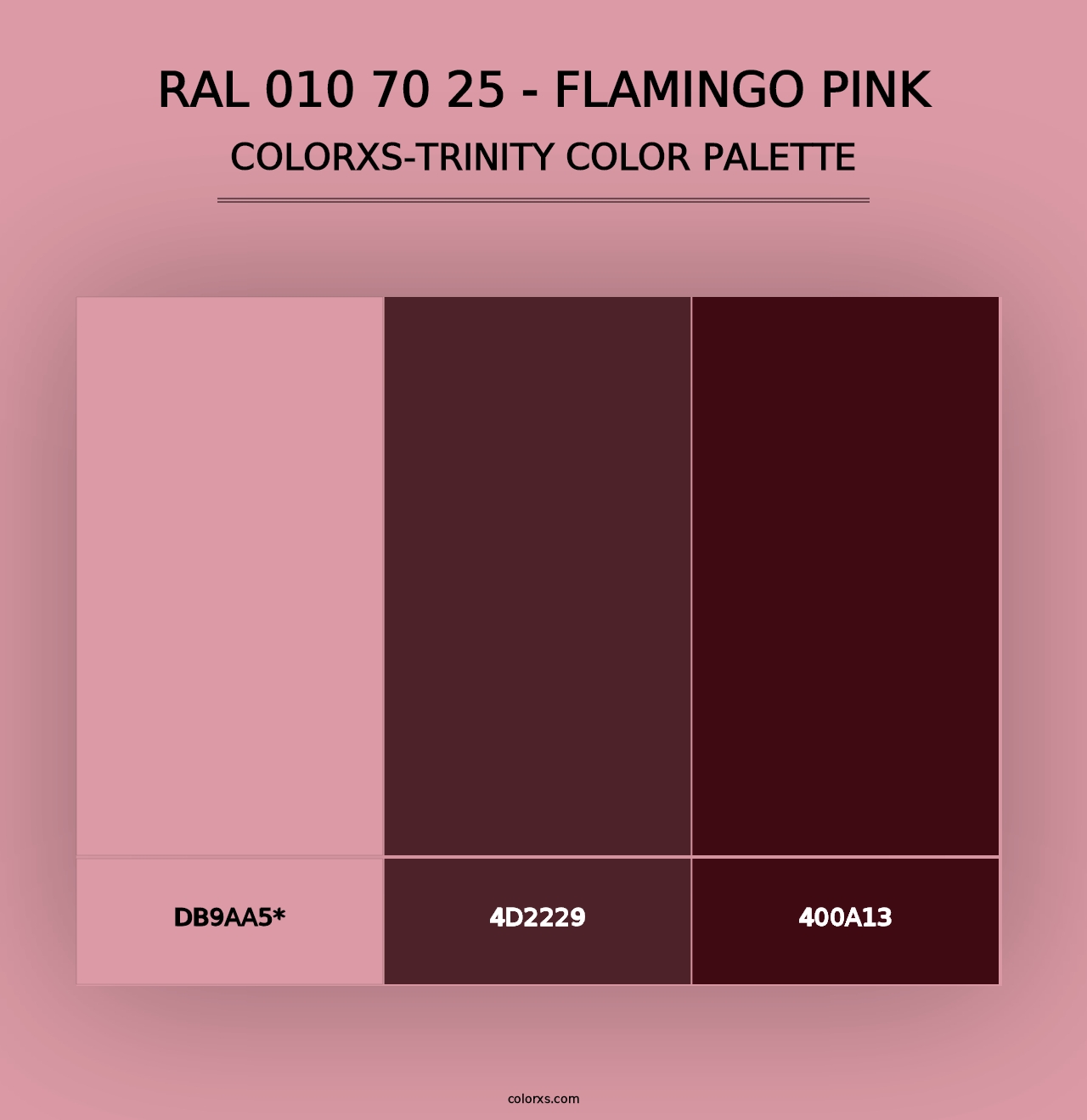 RAL 010 70 25 - Flamingo Pink - Colorxs Trinity Palette