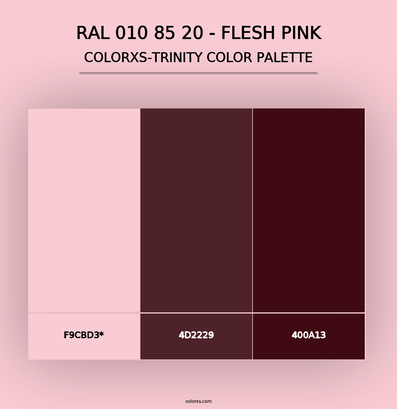 RAL 010 85 20 - Flesh Pink - Colorxs Trinity Palette