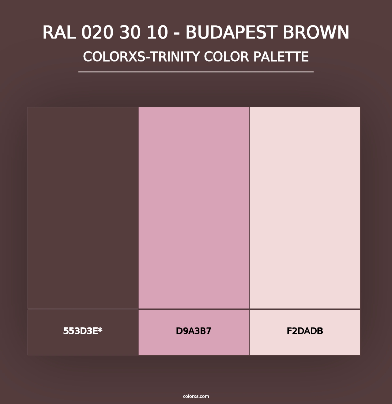 RAL 020 30 10 - Budapest Brown - Colorxs Trinity Palette