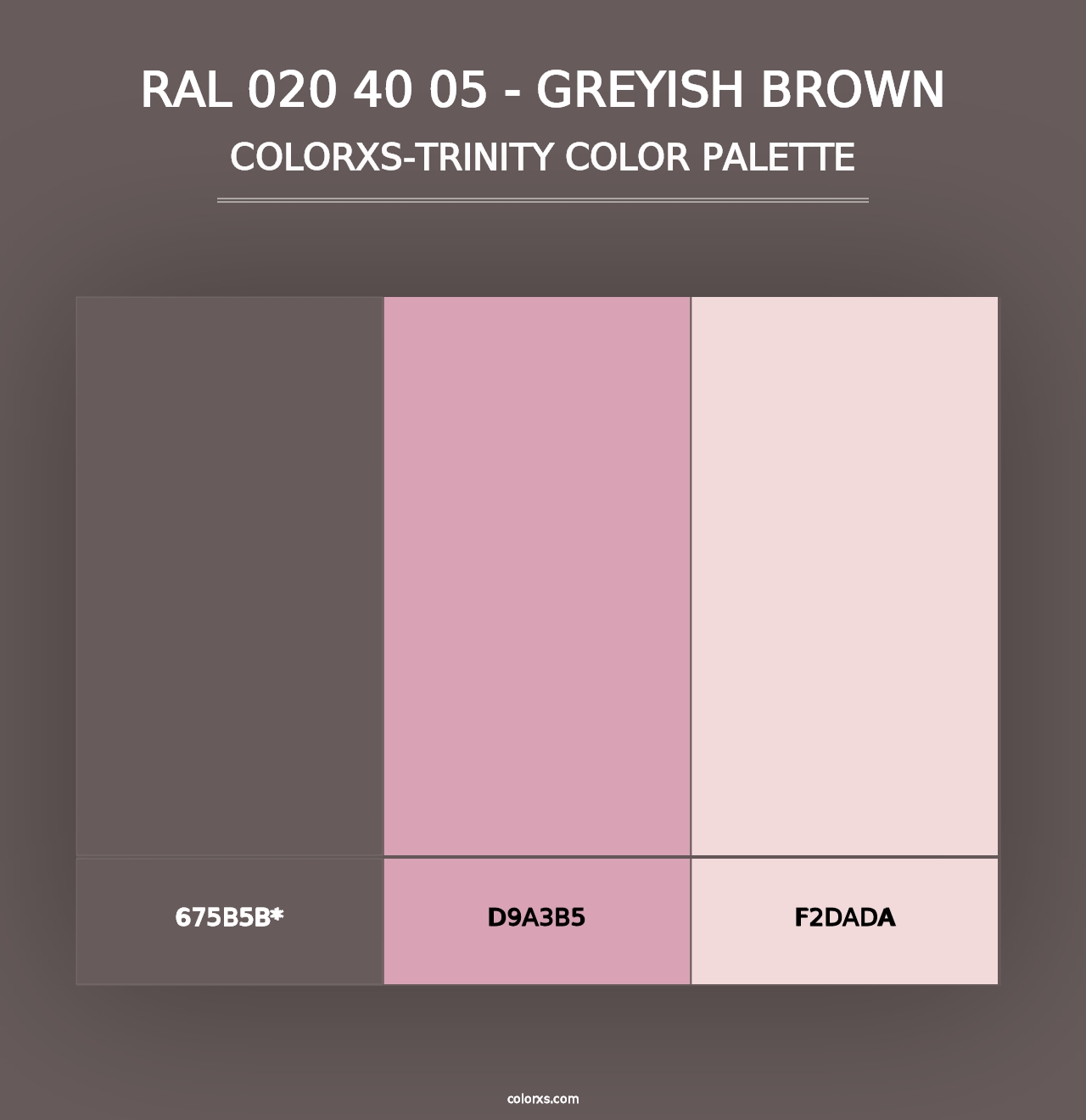 RAL 020 40 05 - Greyish Brown - Colorxs Trinity Palette