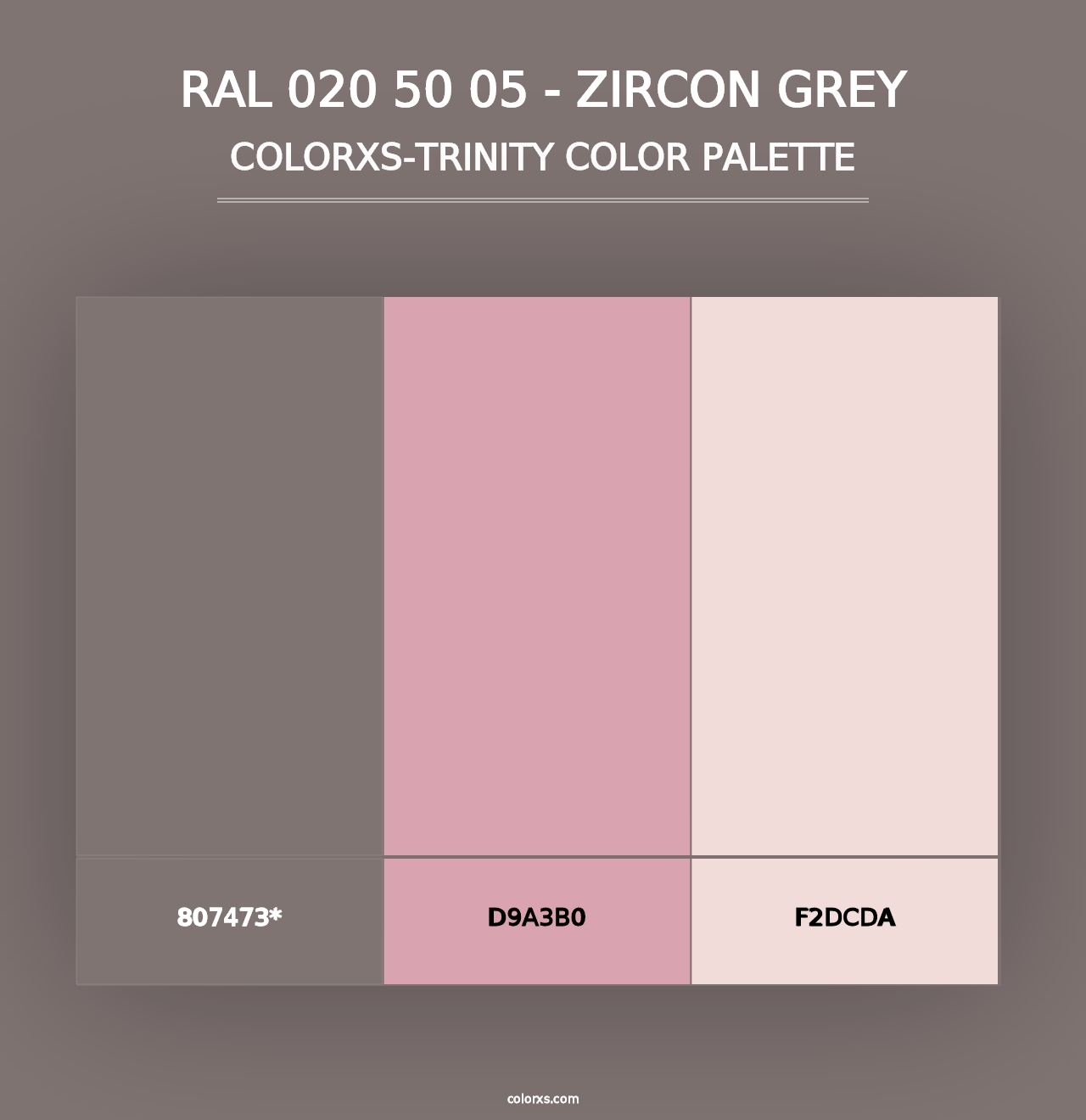 RAL 020 50 05 - Zircon Grey - Colorxs Trinity Palette