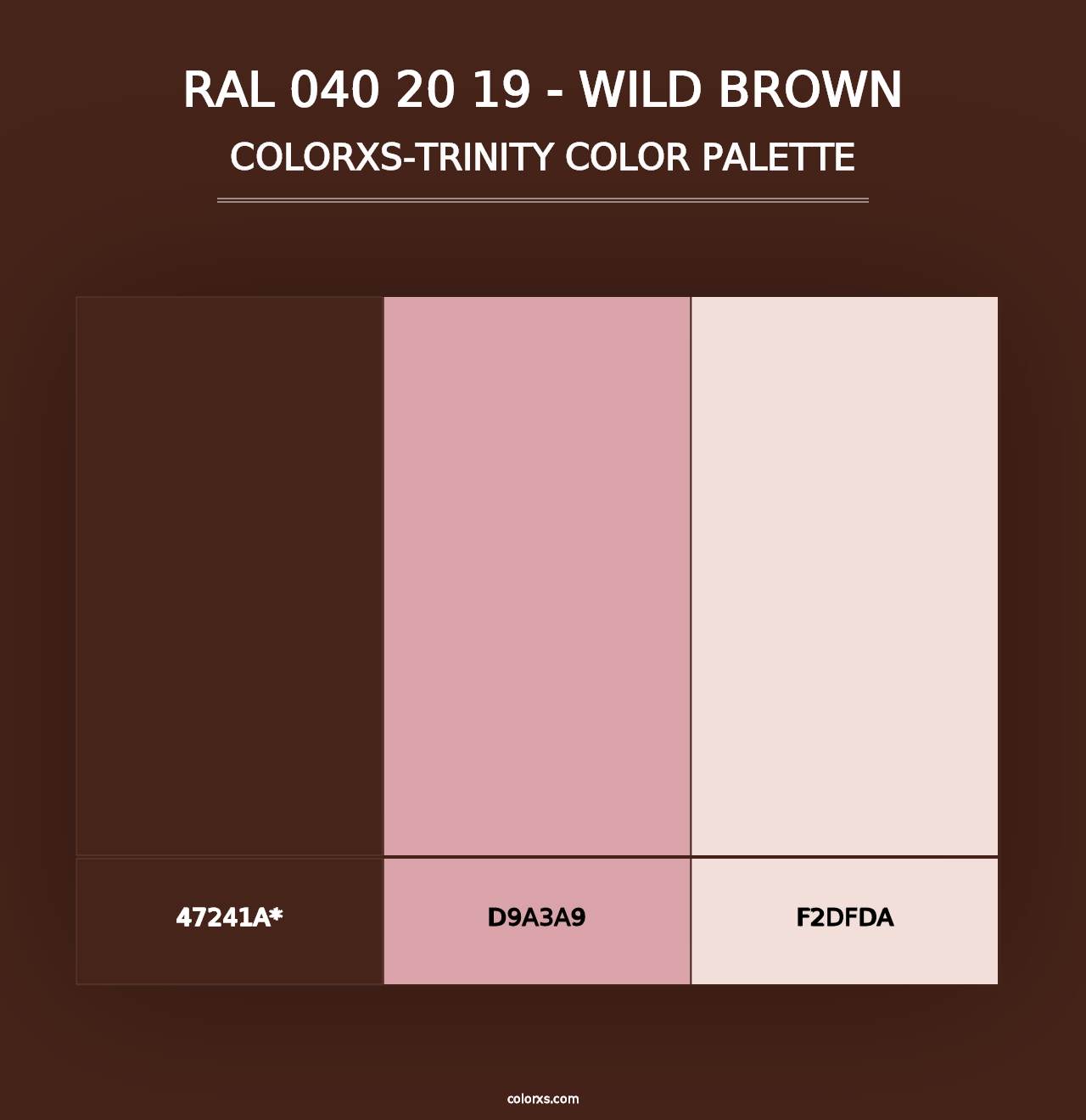 RAL 040 20 19 - Wild Brown - Colorxs Trinity Palette