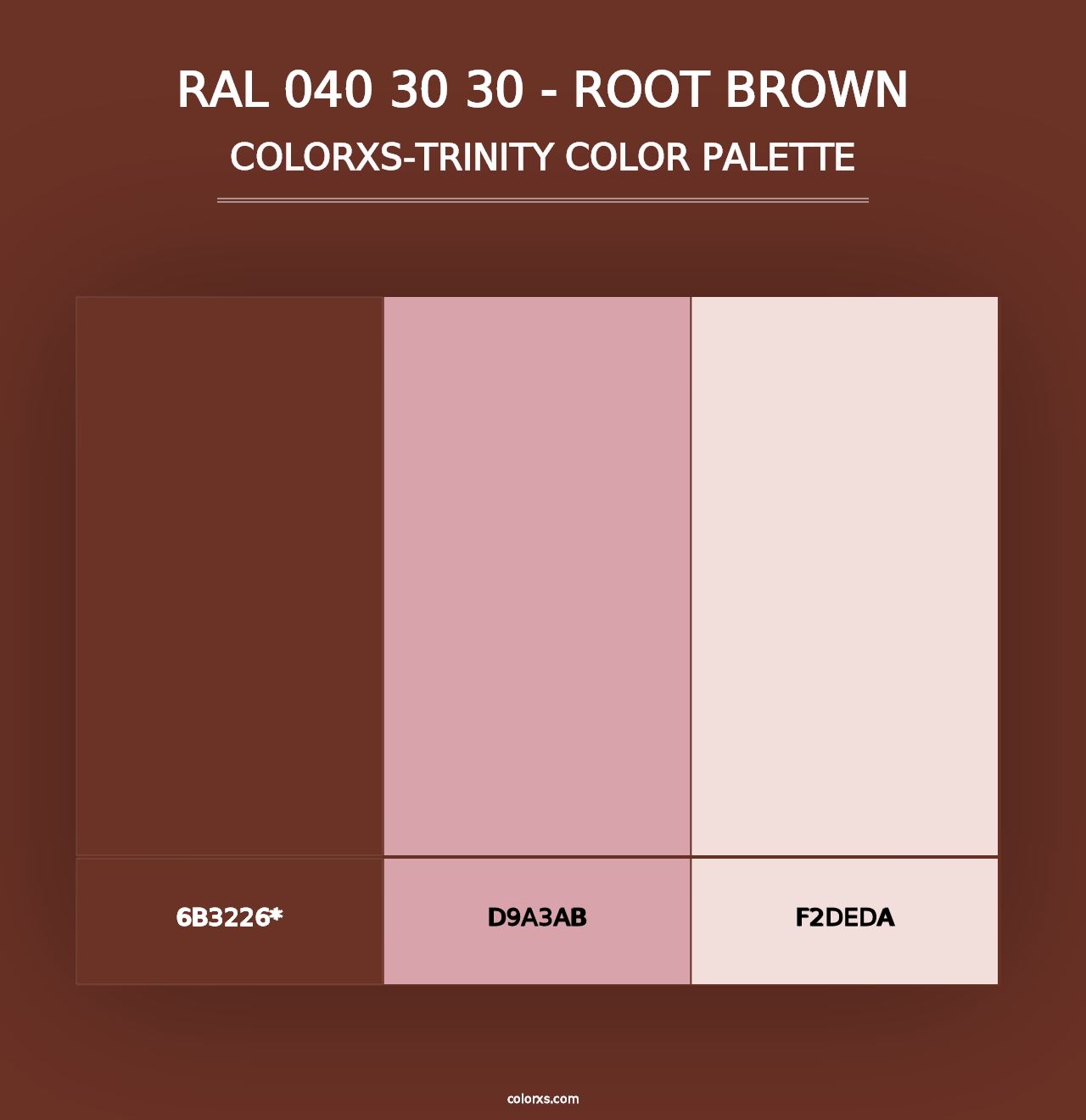 RAL 040 30 30 - Root Brown - Colorxs Trinity Palette