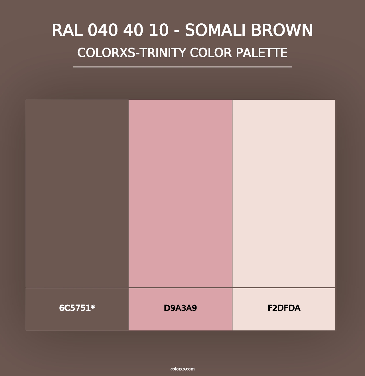 RAL 040 40 10 - Somali Brown - Colorxs Trinity Palette