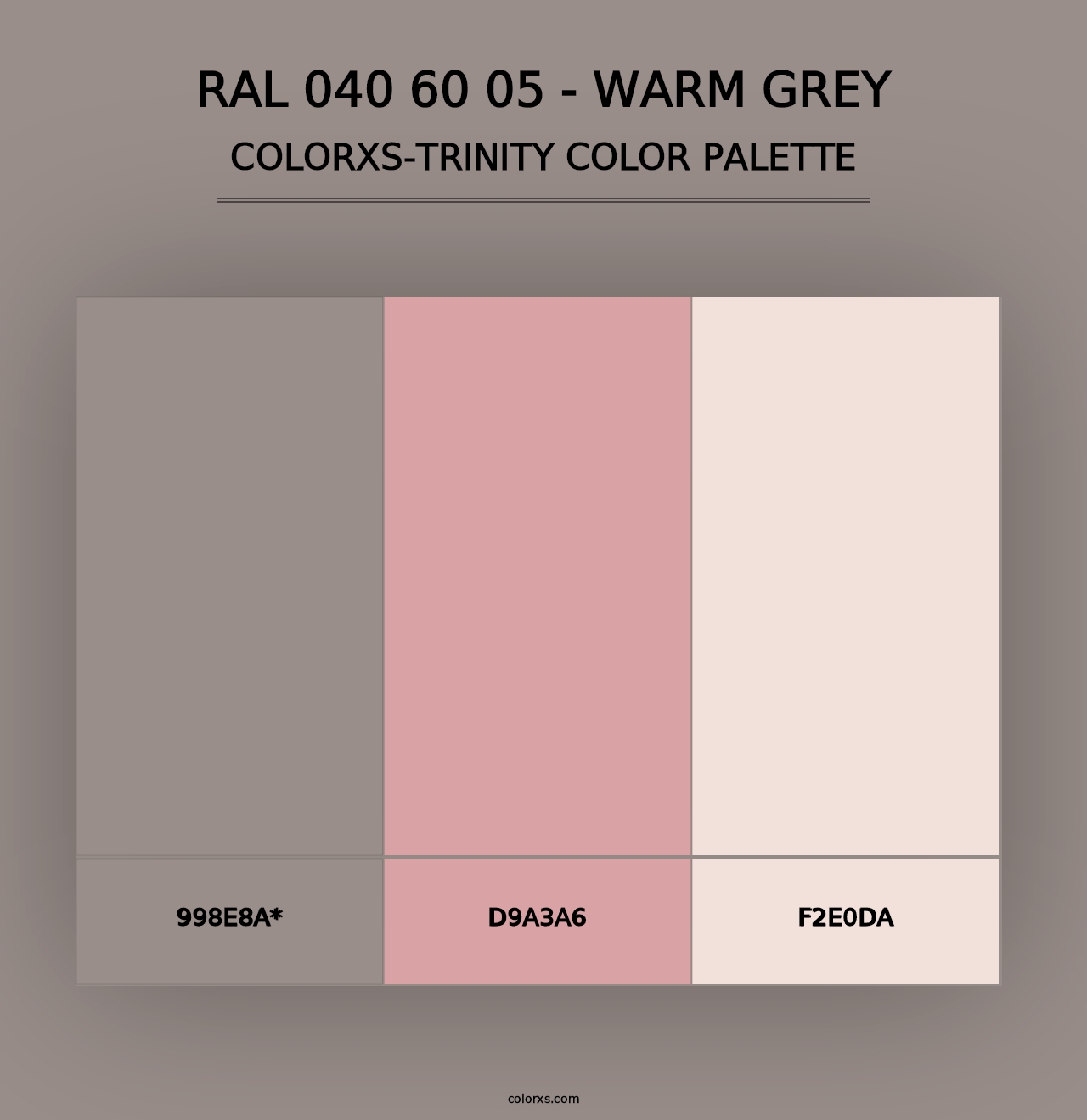 RAL 040 60 05 - Warm Grey - Colorxs Trinity Palette