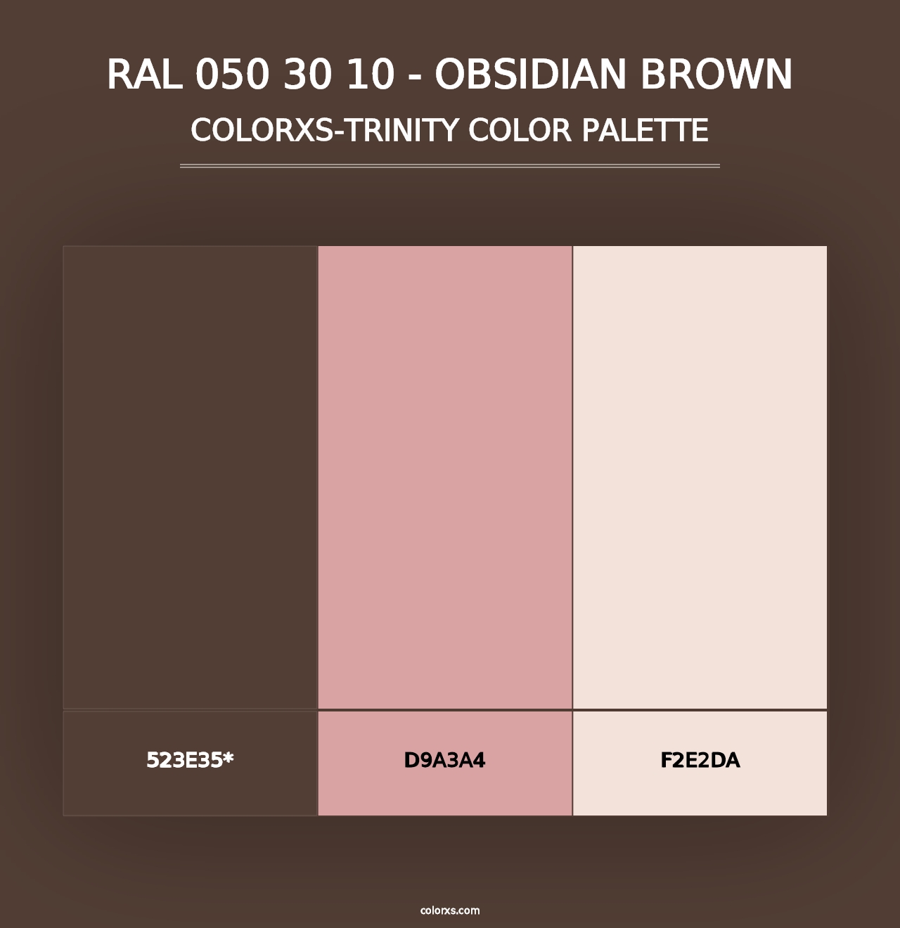 RAL 050 30 10 - Obsidian Brown - Colorxs Trinity Palette