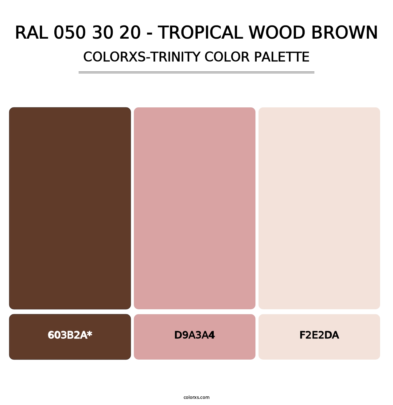 RAL 050 30 20 - Tropical Wood Brown - Colorxs Trinity Palette