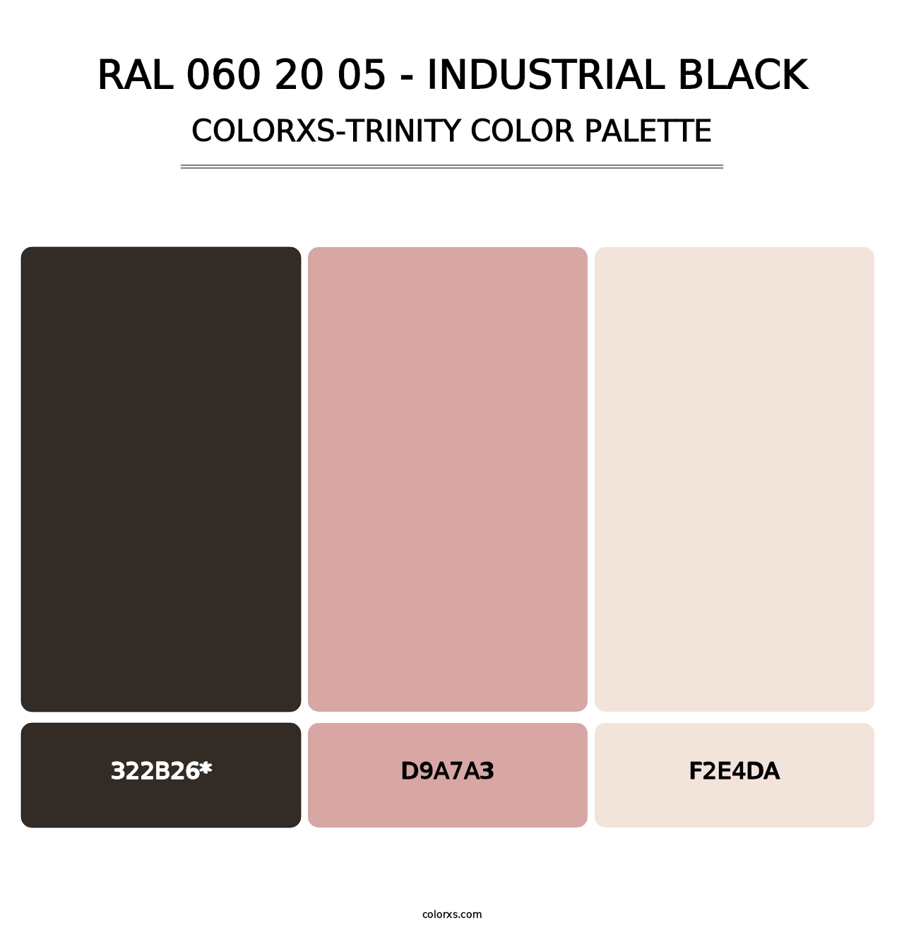 RAL 060 20 05 - Industrial Black - Colorxs Trinity Palette