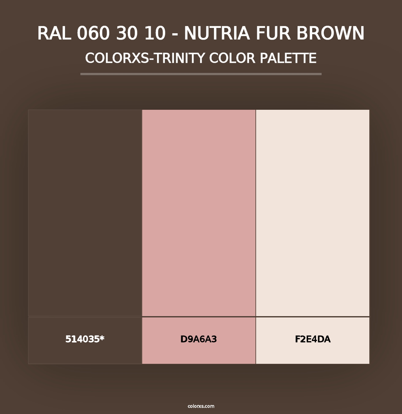 RAL 060 30 10 - Nutria Fur Brown - Colorxs Trinity Palette