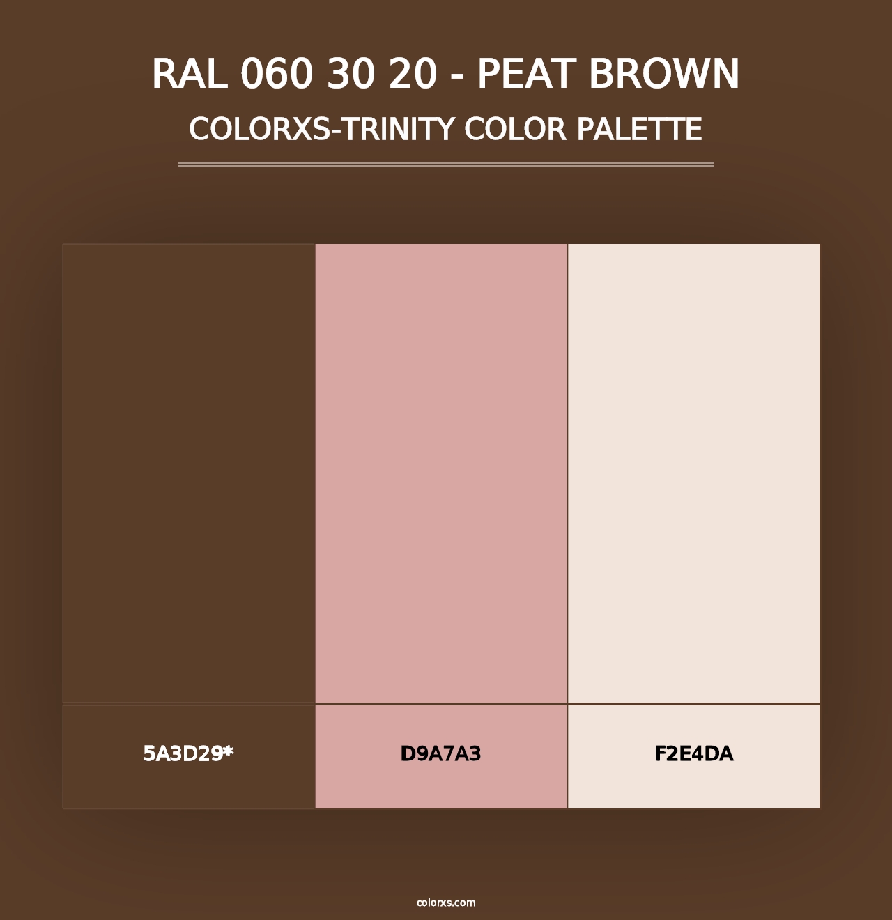 RAL 060 30 20 - Peat Brown - Colorxs Trinity Palette