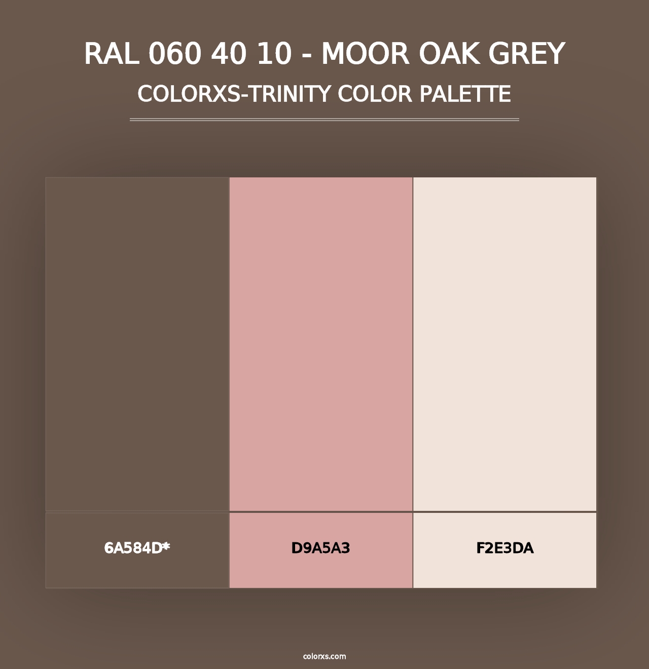 RAL 060 40 10 - Moor Oak Grey - Colorxs Trinity Palette