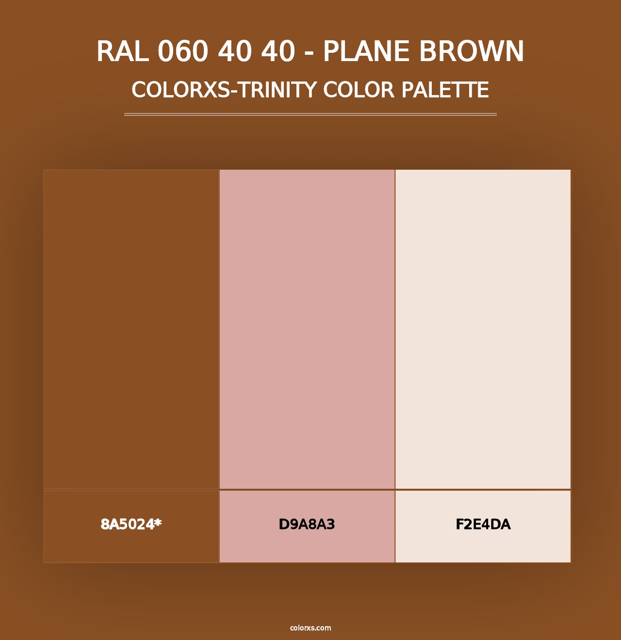 RAL 060 40 40 - Plane Brown - Colorxs Trinity Palette