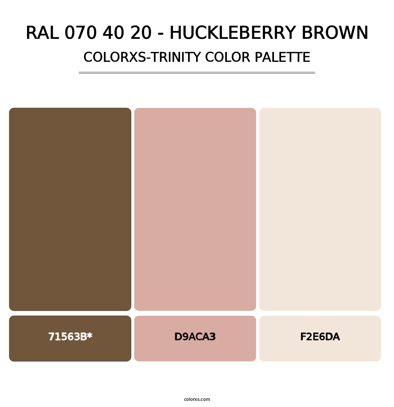 RAL 070 40 20 - Huckleberry Brown - Colorxs Trinity Palette