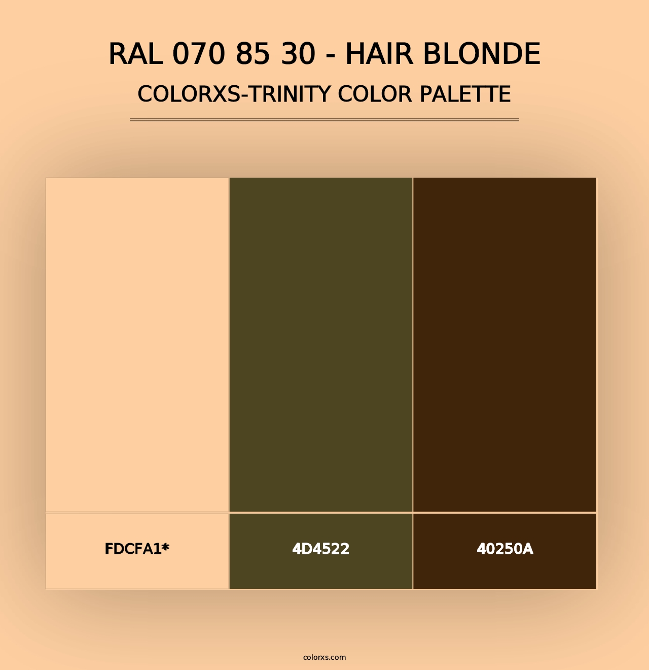 RAL 070 85 30 - Hair Blonde - Colorxs Trinity Palette