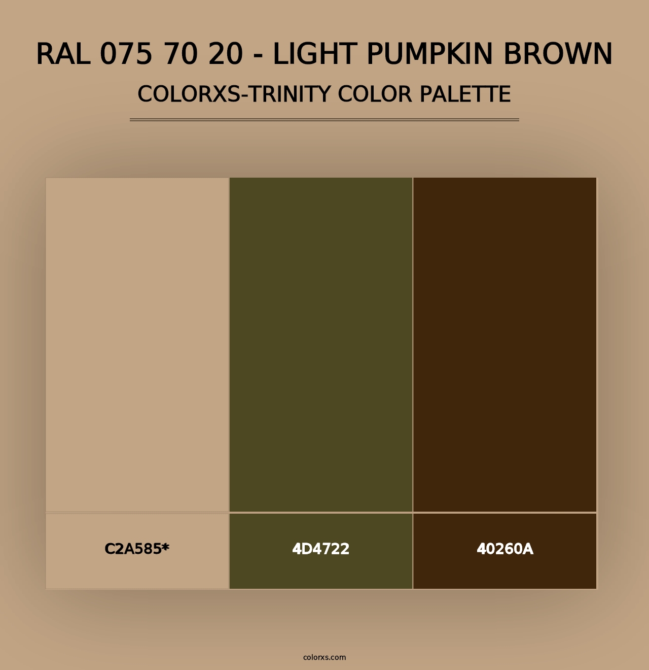 RAL 075 70 20 - Light Pumpkin Brown - Colorxs Trinity Palette